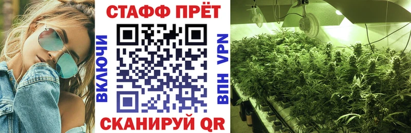 Где найти наркотики Каргополь АМФЕТАМИН KRAKEN ССЫЛКА Мефедрон Каннабис COCAIN МДМА
