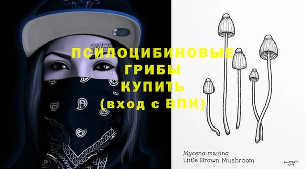 кокс Фурманов