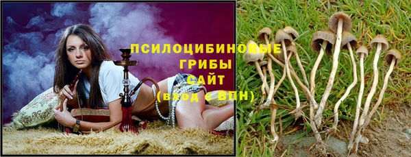 мяу мяу мука Медногорск
