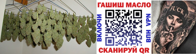 ТГК концентрат магазин продажи наркотиков Каргополь