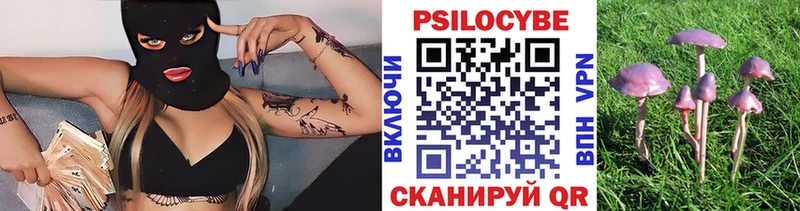 наркота  Каргополь  сайты даркнета клад  Галлюциногенные грибы Cubensis 