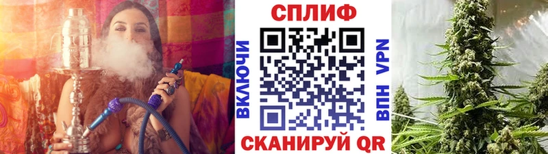 дарнет шоп  Каргополь  Бошки Шишки марихуана 
